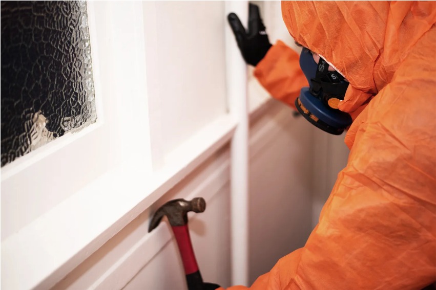 Professional Remediation Services